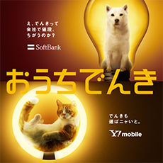 おうちでんき